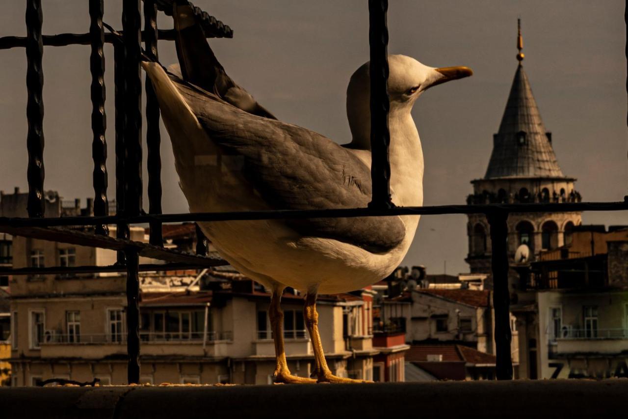 Galata M84 Aparthotel Istanbul Exterior foto